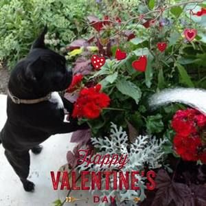 Meet your Posher, Carla